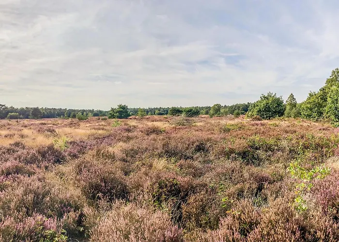 Camping House In Putten